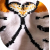 TIGRE